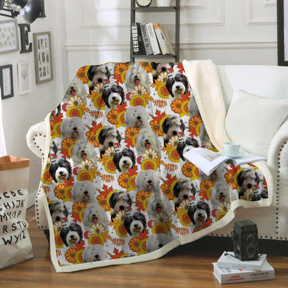 Fall-Winter - Old English Sheepdog Blanket V1