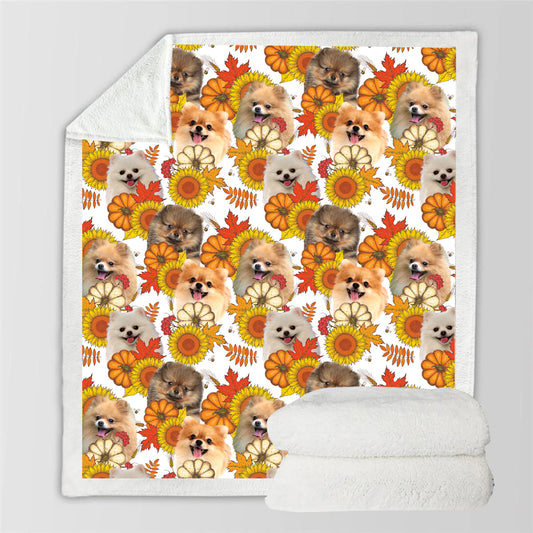 Fall-Winter - Pomeranian Blanket V2