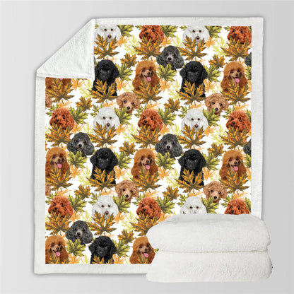 Fall-Winter - Poodle Blanket V1