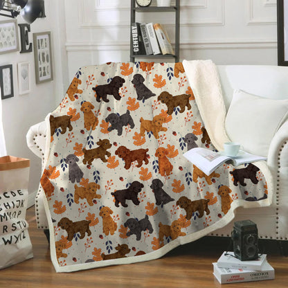 Fall-Winter - Poodle Blanket V3