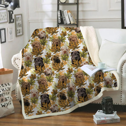 Fall-Winter - Shar Pei Blanket V1