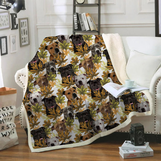 Automne-Hiver - Couverture Staffordshire Bull Terrier V1