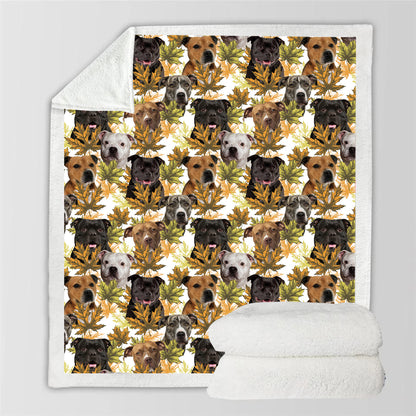 Automne-Hiver - Couverture Staffordshire Bull Terrier V1