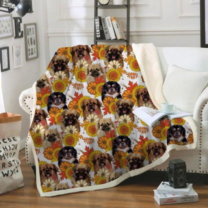 Fall-Winter - Tibetan Spaniel Blanket V2