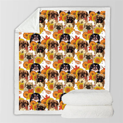 Fall-Winter - Tibetan Spaniel Blanket V2