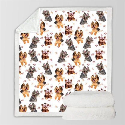 Automne-Hiver - Couverture Yorkshire Terrier V3