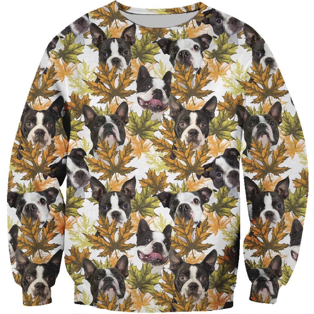 Herbst-Winter Boston Terrier Sweatshirt V2