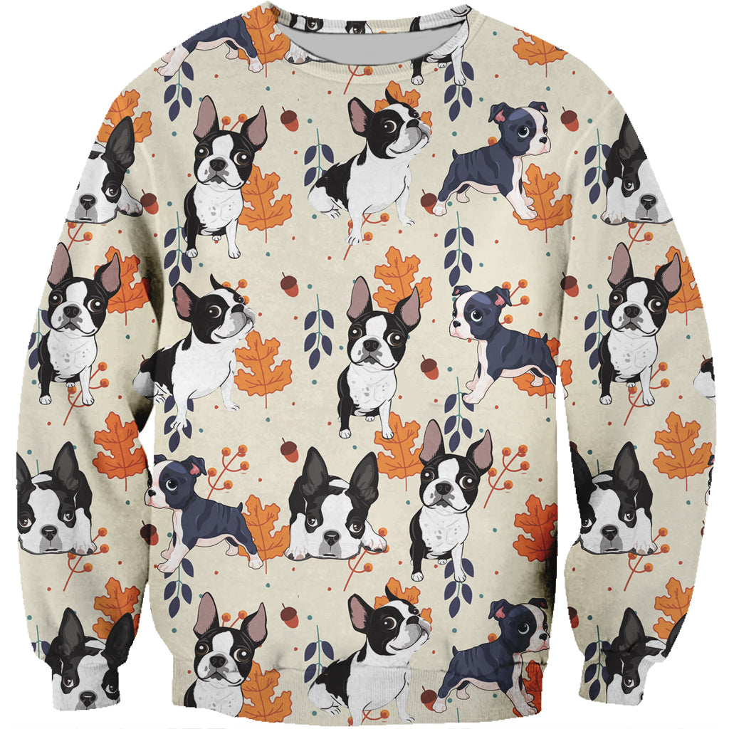 Fall-Winter Boston Terrier Sweatshirt V3
