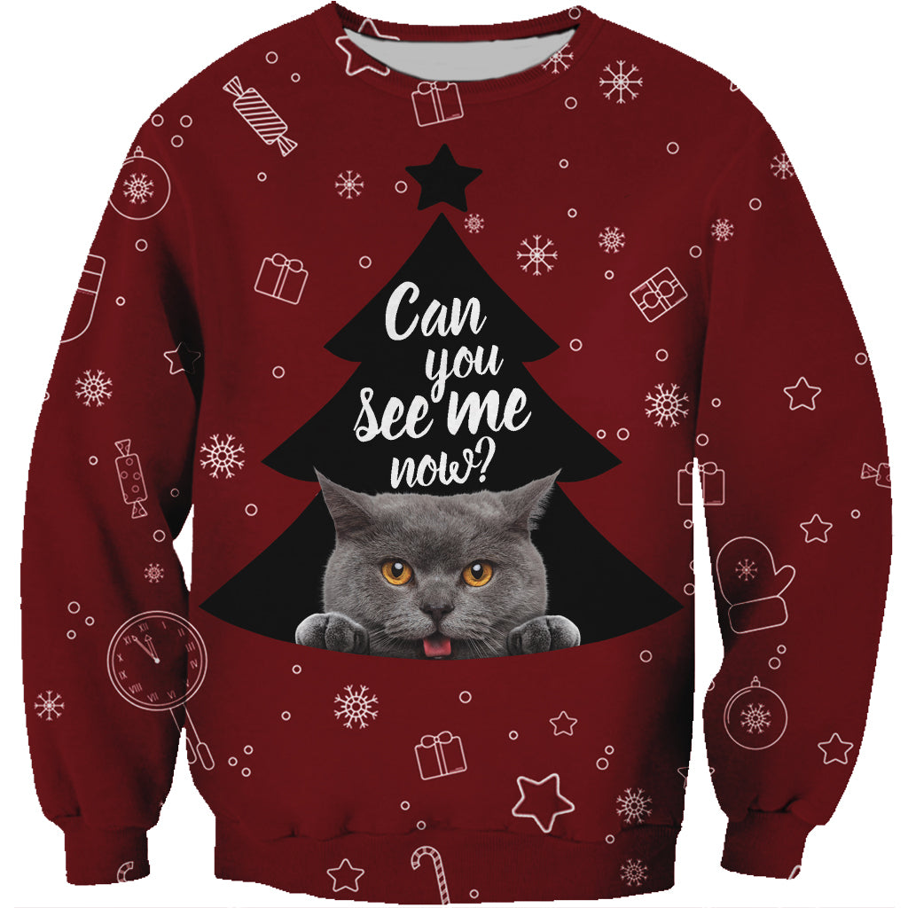 Fall-Winter British Shorthair Cat Sweatshirt V2