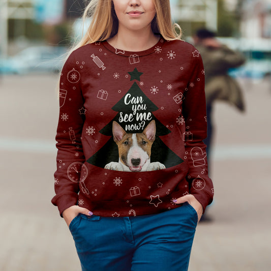 Fall-Winter Bull Terrier Sweatshirt V1