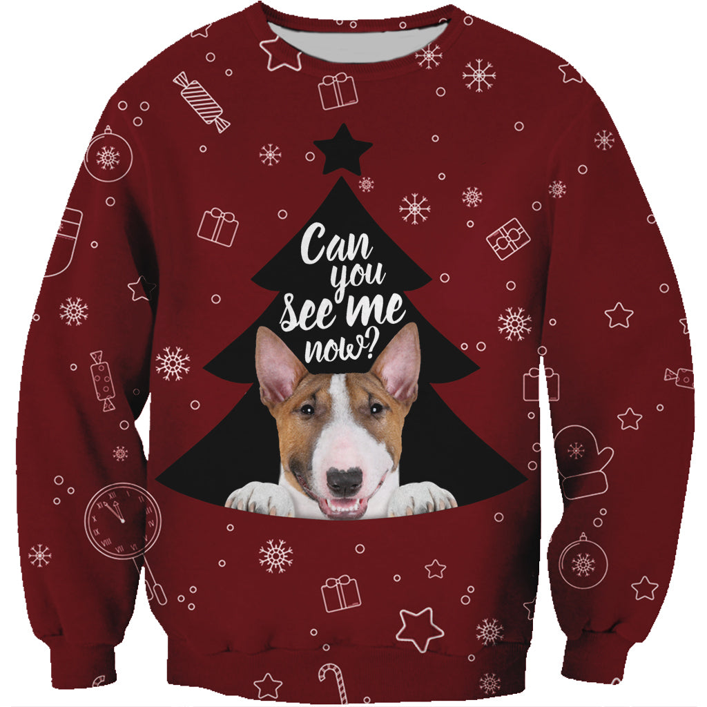 Sweat Bull Terrier Automne-Hiver V1