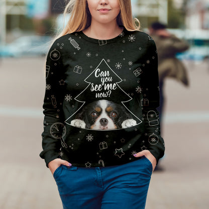 Fall-Winter Cavalier King Charles Spaniel Sweatshirt V4