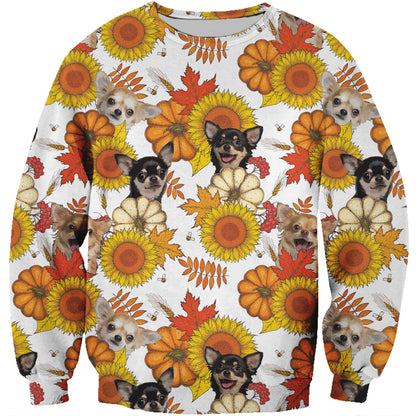 Fall-Winter Chihuahua Sweatshirt V1