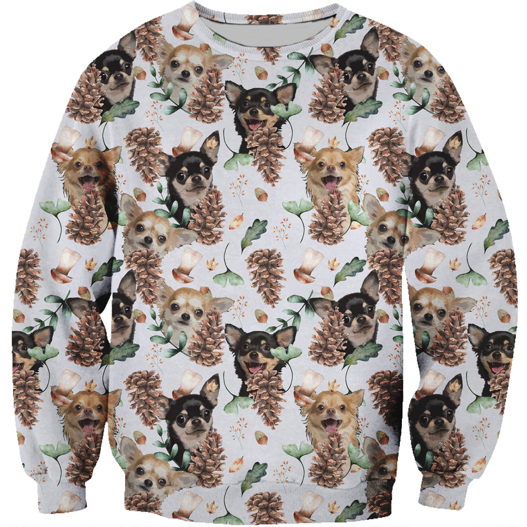 Fall-Winter Chihuahua Sweatshirt V2