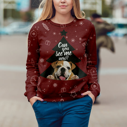 Fall-Winter English Bulldog Sweatshirt V1