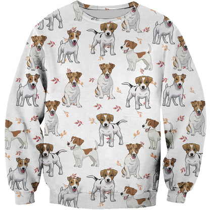 Sweat Automne-Hiver Jack Russell Terrier V1