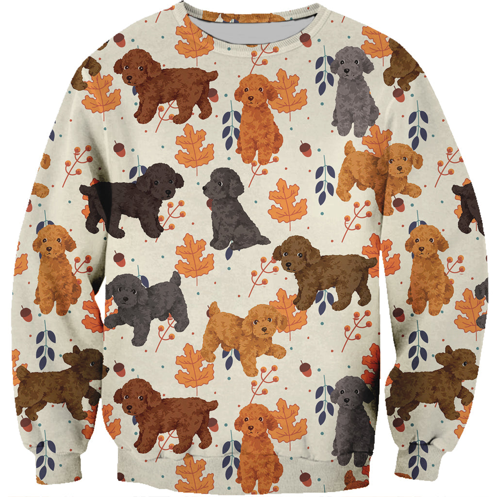 Fall-Winter Poodle Sweatshirt V2
