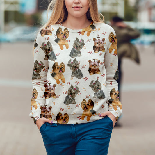 Sweat Automne-Hiver Yorkshire Terrier V4