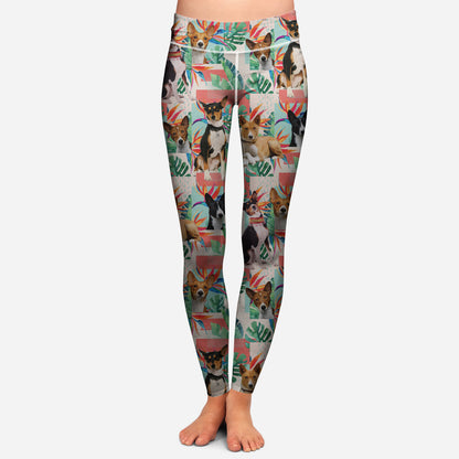 Basenji - Bunte Leggings V2