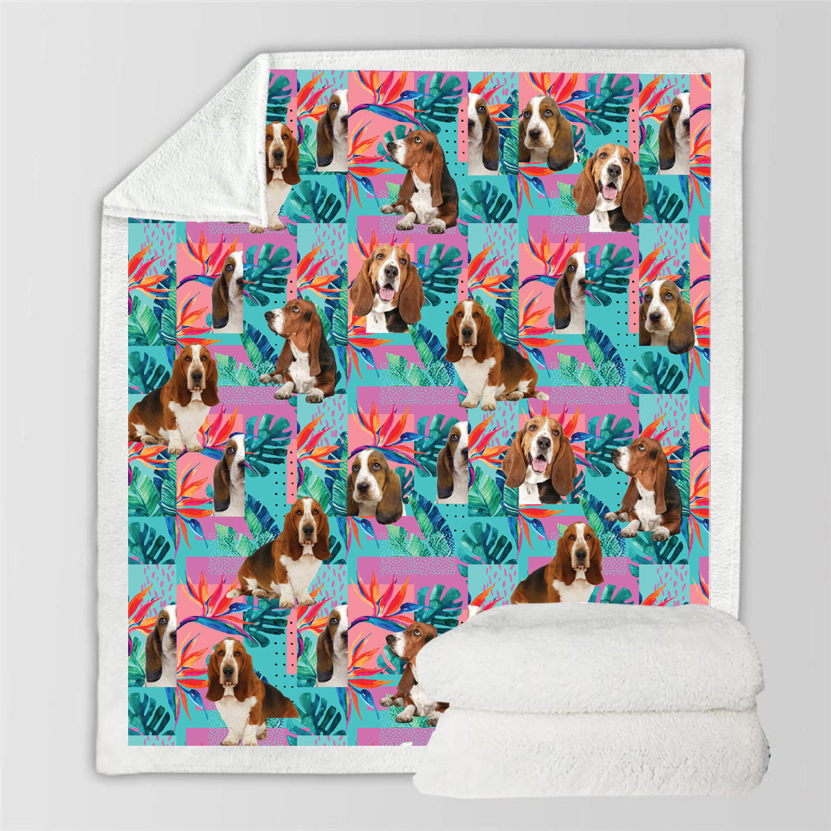 Basset Hound - Couverture colorée V1