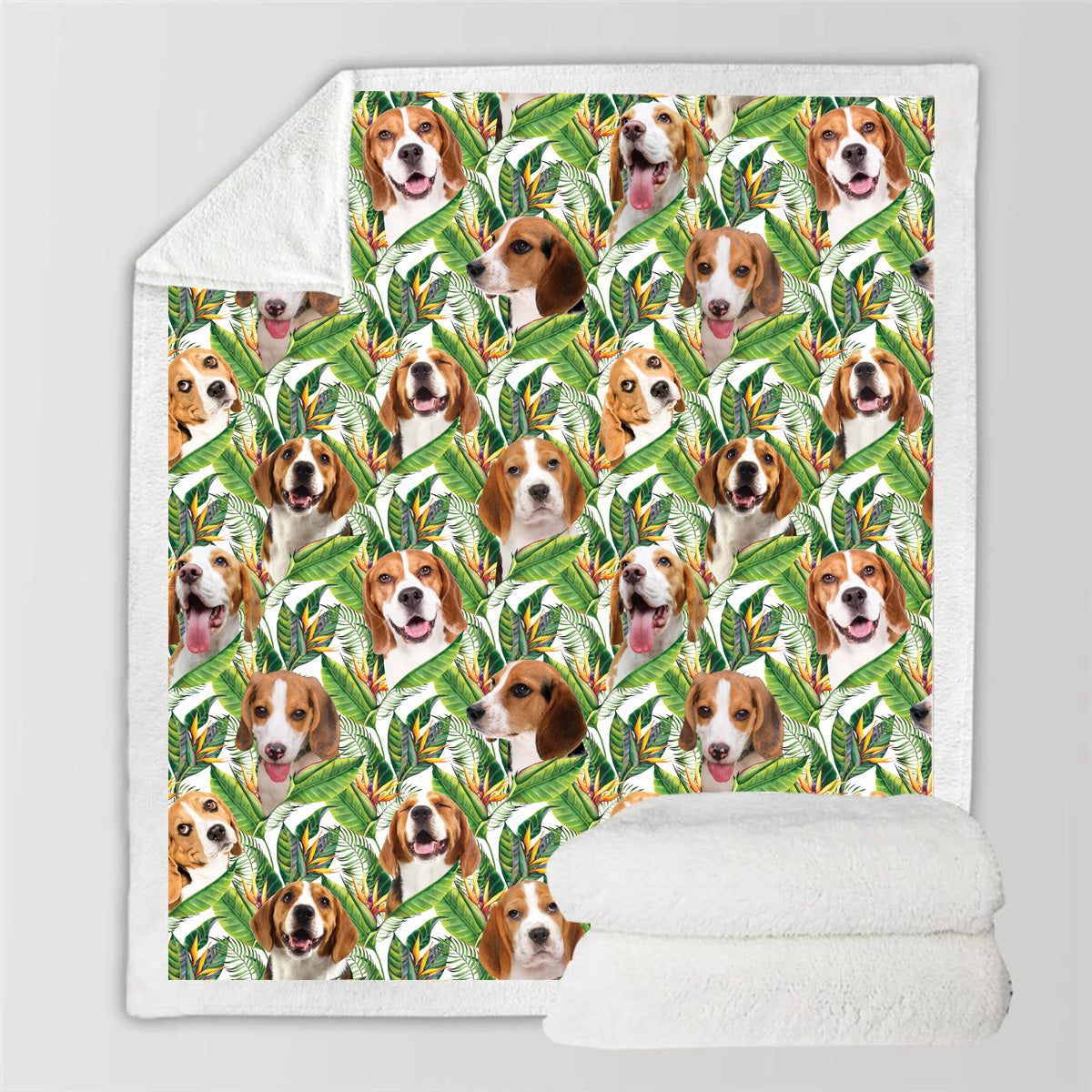 Beagle - Couverture colorée V1