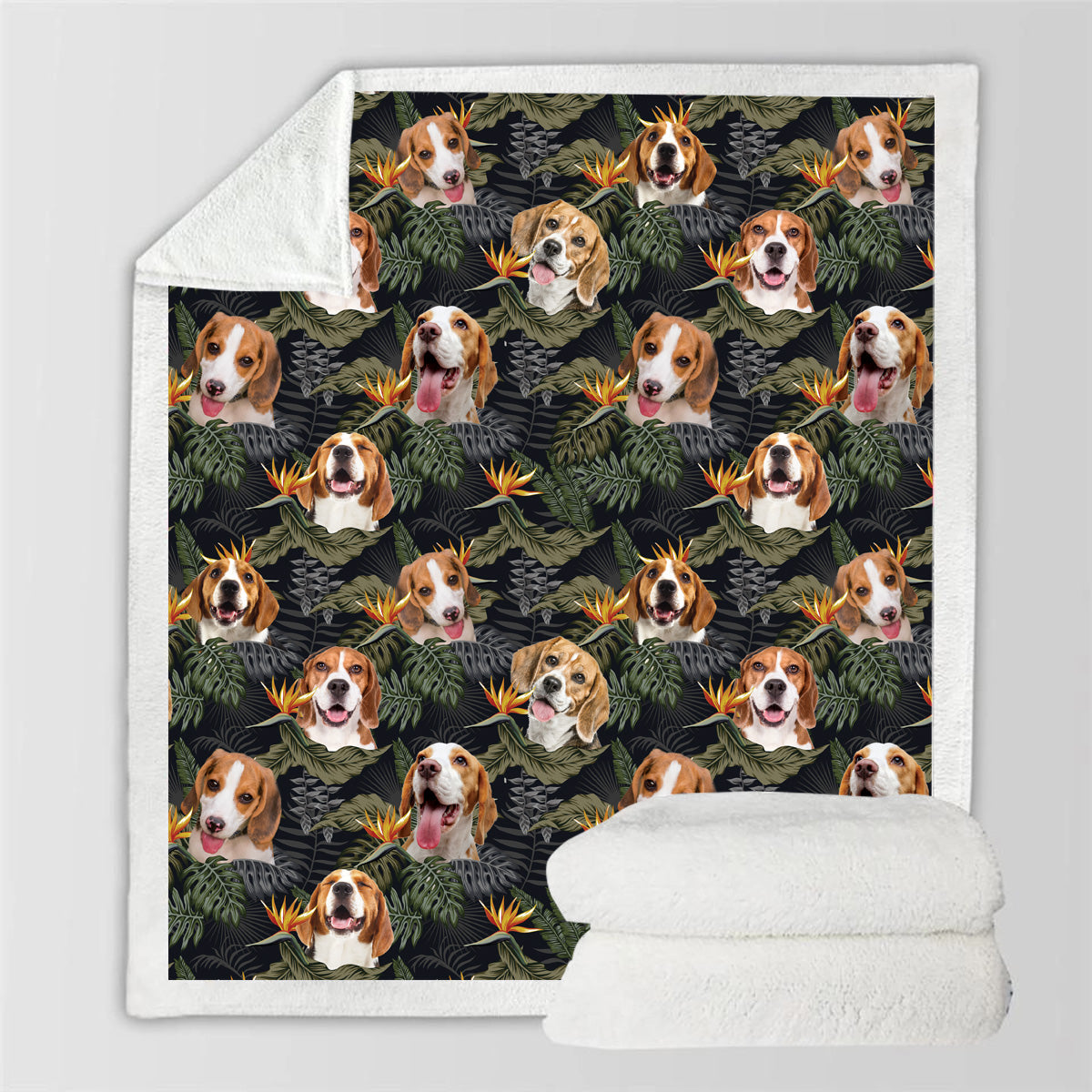 Beagle - Couverture colorée V2