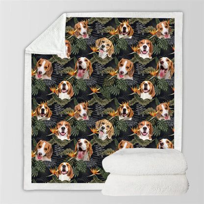 Beagle - Couverture colorée V2
