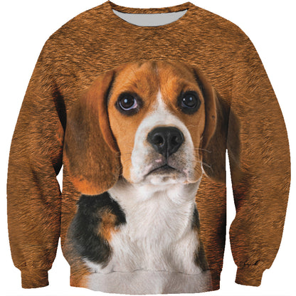 Beagle-Sweatshirt V1