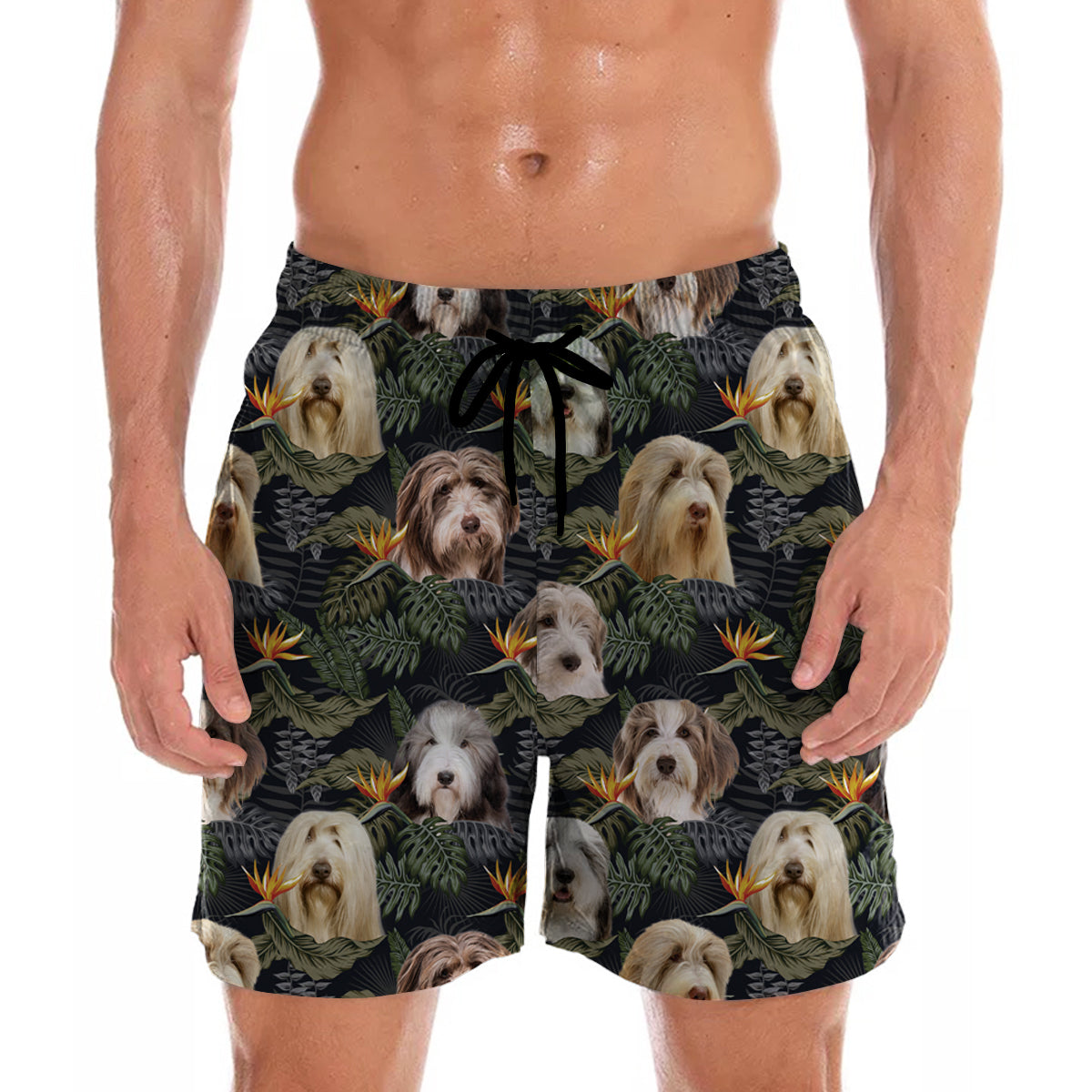 Bearded Collie - Hawaiian Shorts V1