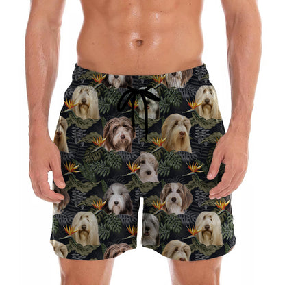 Bearded Collie - Hawaii-Shorts V1