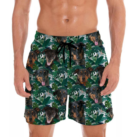 Beauceron - Hawaiian Shorts V1