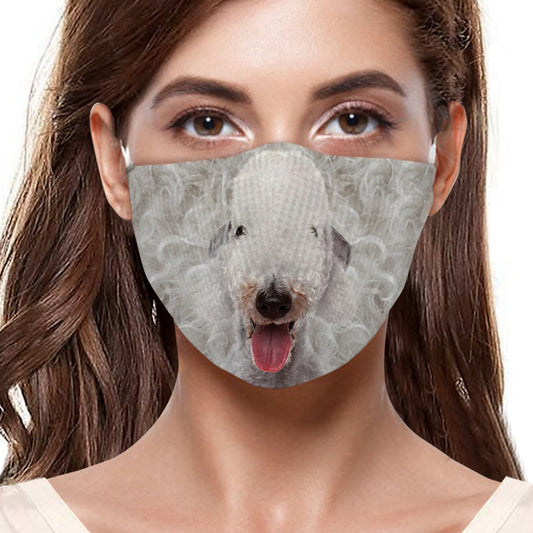 Masque F Bedlington Terrier V1