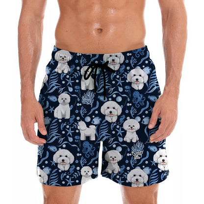 Bichon Frise - Short Hawaïen V4