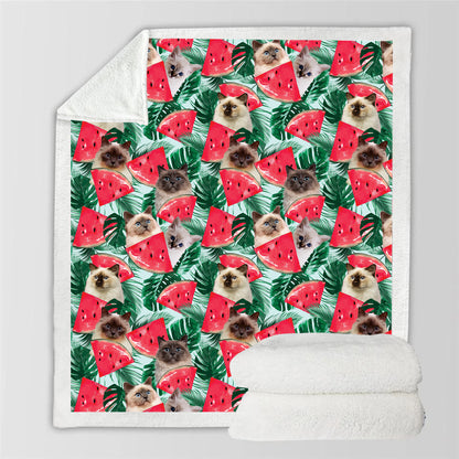 Chat Birman - Couverture colorée V1