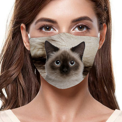 Masque F pour chat de Birmanie V1