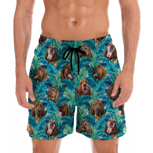Bloodhound - Hawaii-Shorts V2