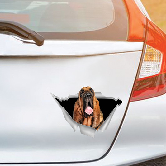 Nous aimons rouler dans les voitures - Bloodhound Car/ Door/ Fridge/ Laptop Sticker V1