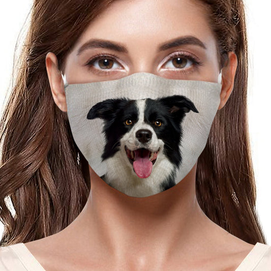 Border Collie F-Maske V1
