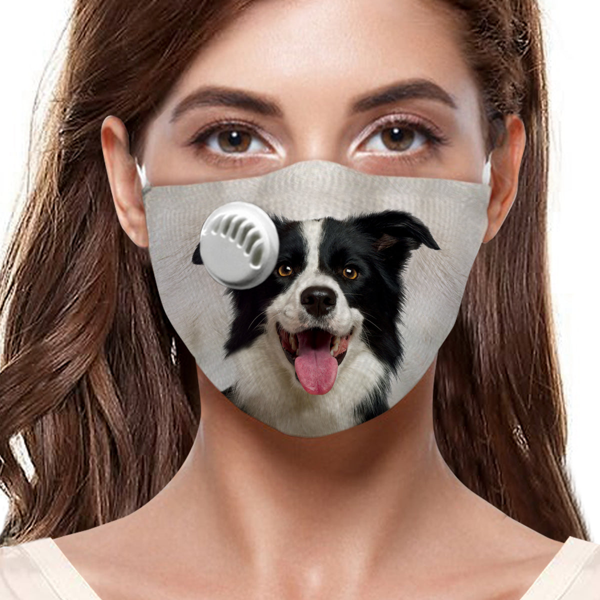 Border Collie F-Maske V1
