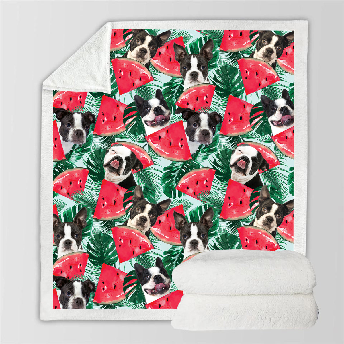 Boston Terrier - Bunte Decke V1