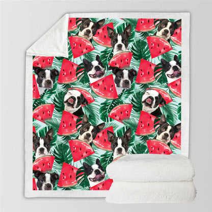 Boston Terrier - Bunte Decke V1