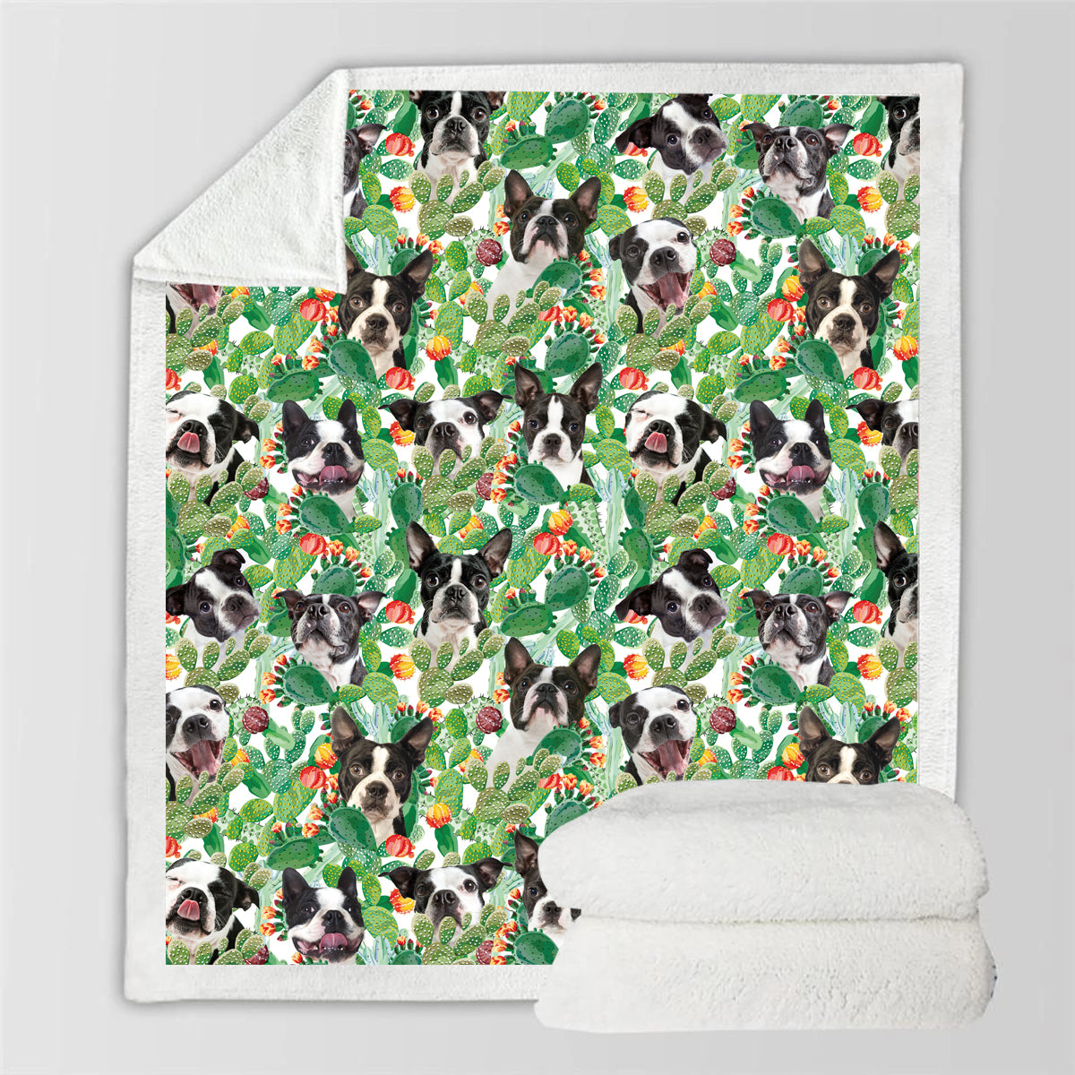 Boston Terrier - Colorful Blanket V2