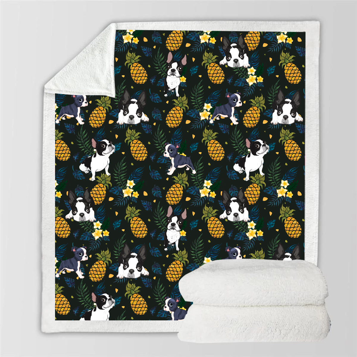 Boston Terrier - Couverture colorée V3