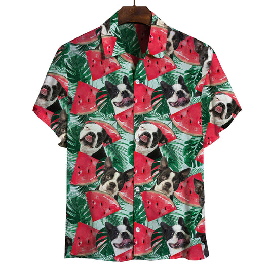Boston Terrier - Hawaiihemd V4
