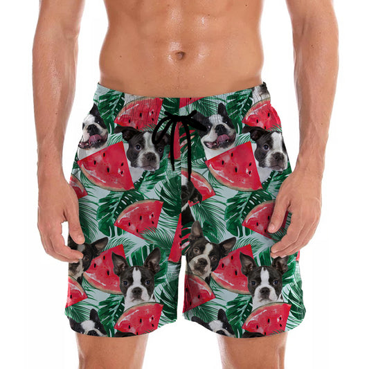 Boston Terrier - Hawaii-Shorts V4