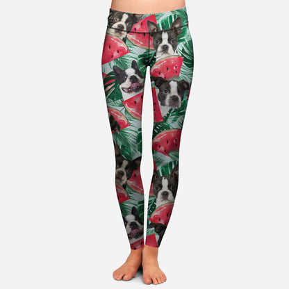 Boston Terrier - Colorful Leggings V3