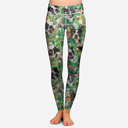 Boston Terrier - Colorful Leggings V4