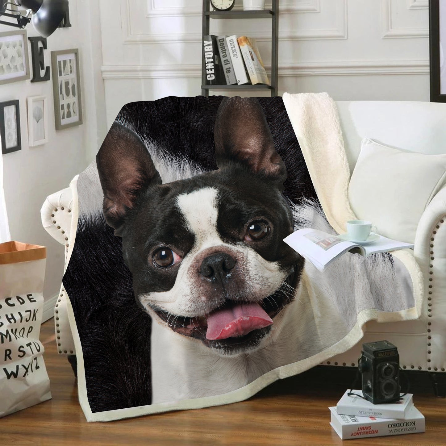 Boston Terrier - Decke V7