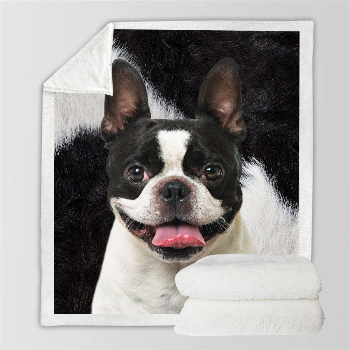 Boston Terrier - Decke V7