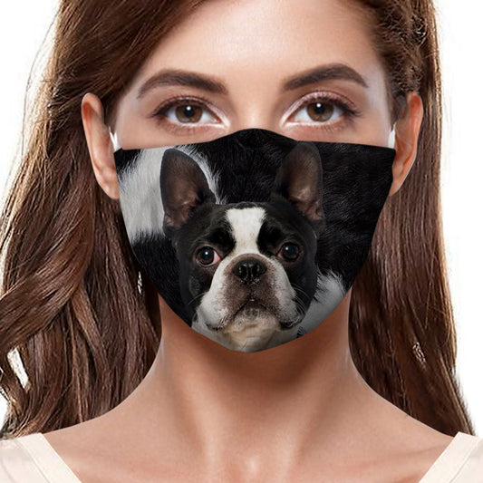 Masque F Boston Terrier V1